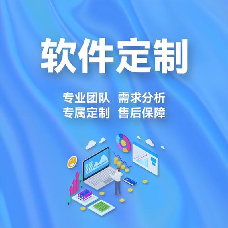 软件定制